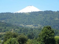 /album/caba%c3%b1as-melinka/a144-jpg/